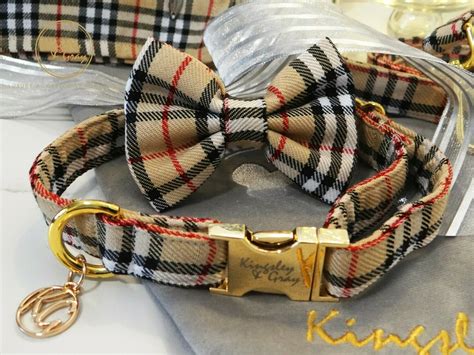 Burberry dog collar